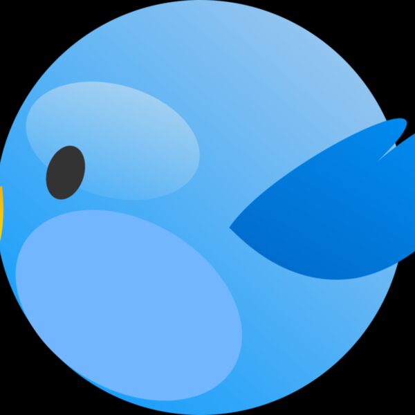 tweet birs 2 Thumbnail