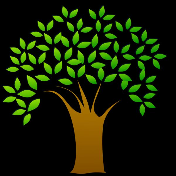 1305612144  2  Thumbnail