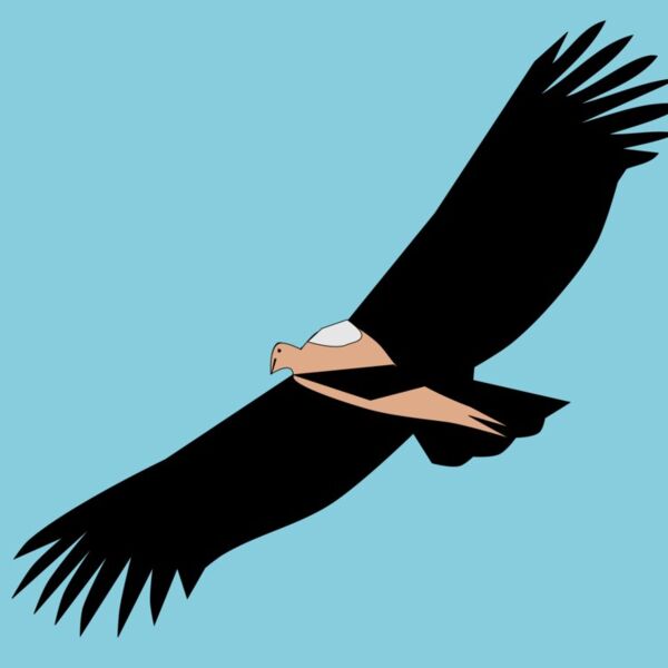 1308171430  2  Thumbnail