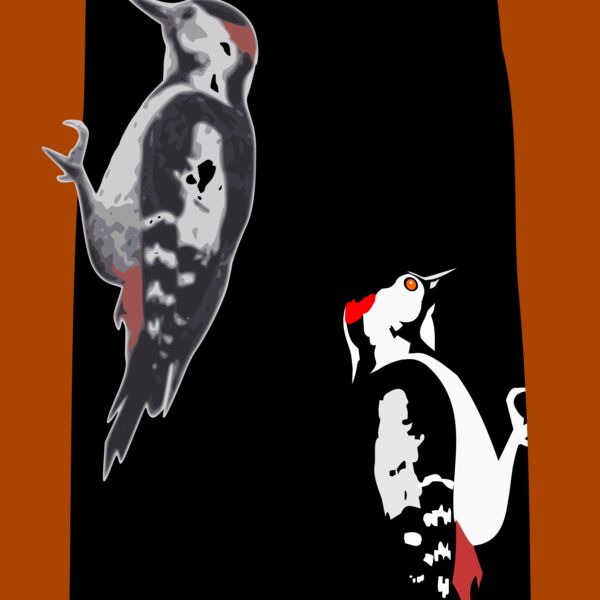 woodpecker Thumbnail