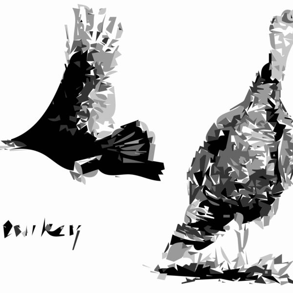 2 Turkey Birds Thumbnail