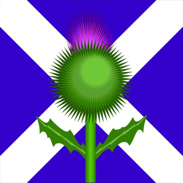 thistle n flag Thumbnail