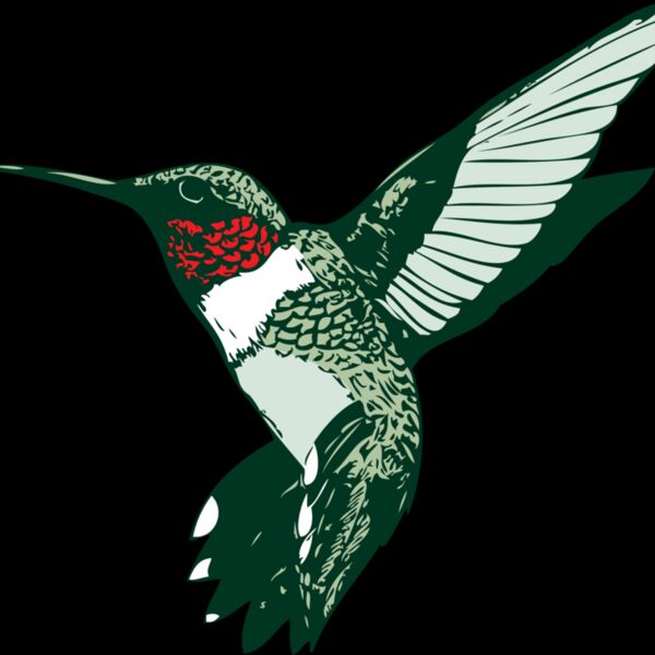 ruby throated hummer Thumbnail
