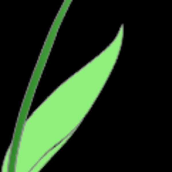 1358848836  2  Thumbnail