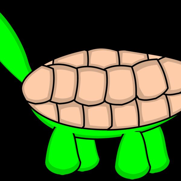 tortoise stage6 Thumbnail