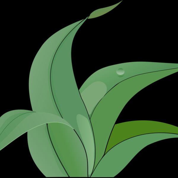 martinix leaves Thumbnail