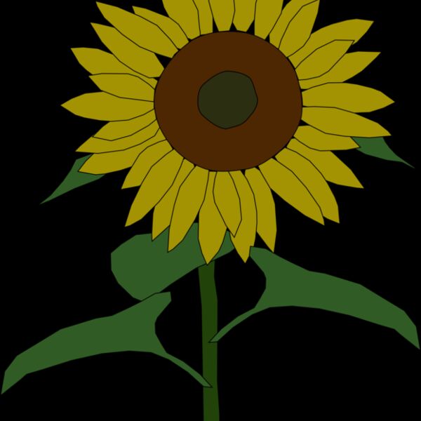 Machovka sunflower Thumbnail