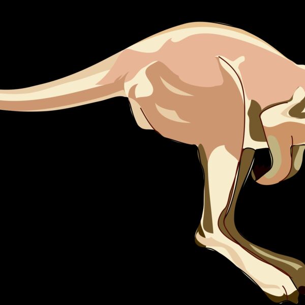 Anonymous Architetto    Canguro Thumbnail