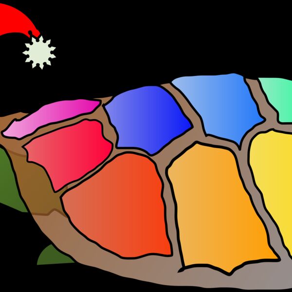 Machovka Funny turtle with santa hat Thumbnail