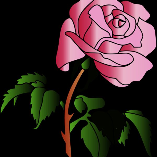 0016 aw rose070908 01 coloris  2  Thumbnail