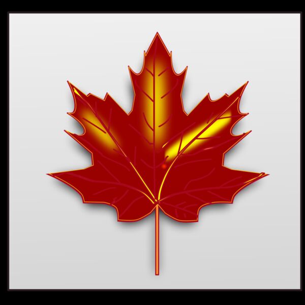 maple leaf  2  Thumbnail