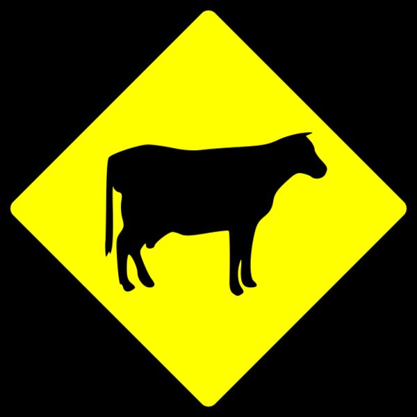 Leomarc caution cows crossing Thumbnail