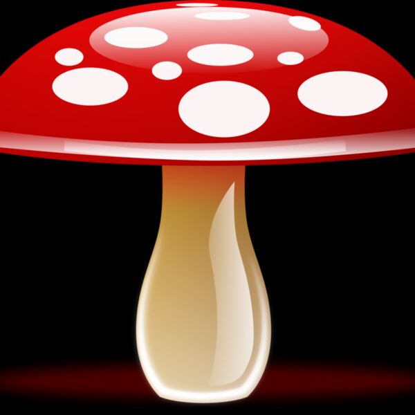 mushroom  10  Thumbnail