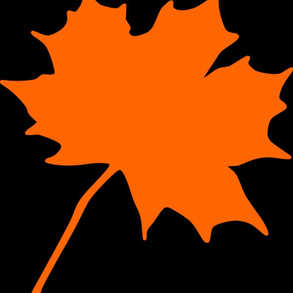 Maple leaf Thumbnail