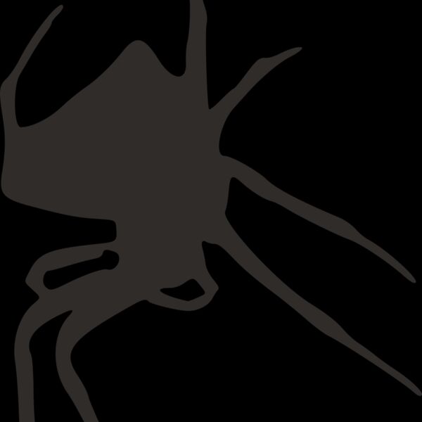 spider silhouette Thumbnail