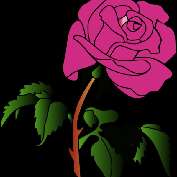 0016 aw rose070908 01 coloris2  2  Thumbnail