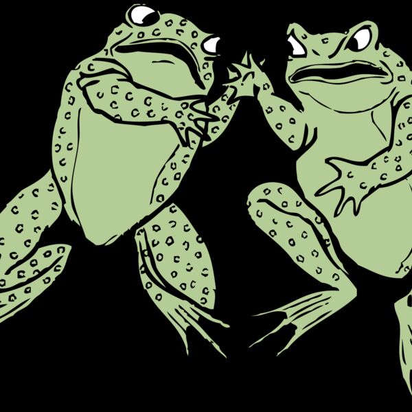 johnny automatic two frogs Thumbnail