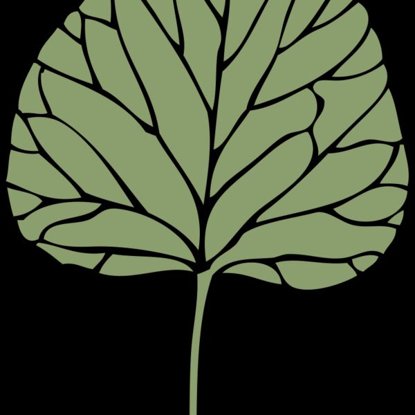 johnny automatic ivy leaf 6 Thumbnail