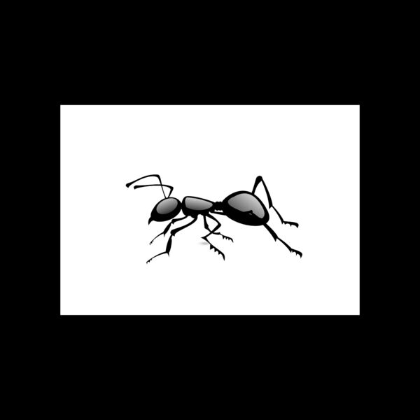 1276548403  2  Thumbnail