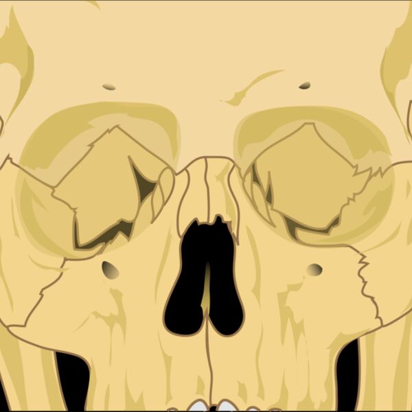 liftarn Human skull Thumbnail