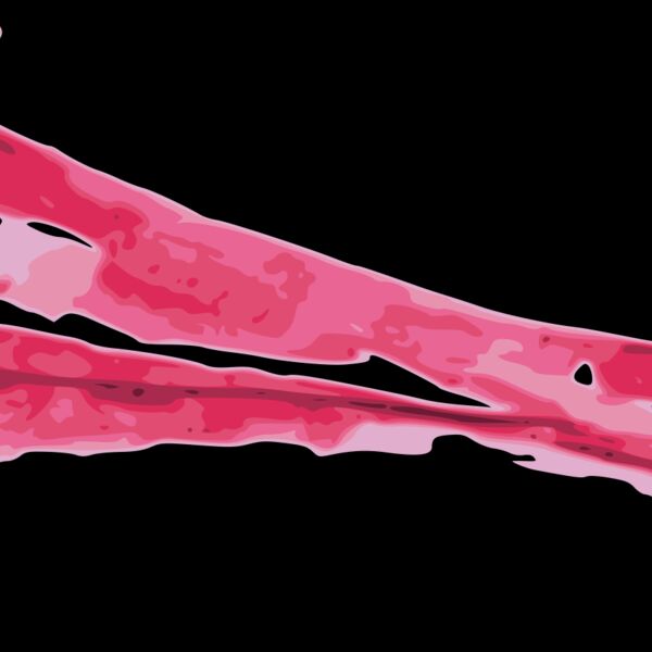 jiangyi 99 red pepper 02 Thumbnail