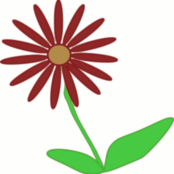 Machovka flower2 1 Thumbnail