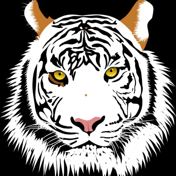 044482e2  2  Thumbnail