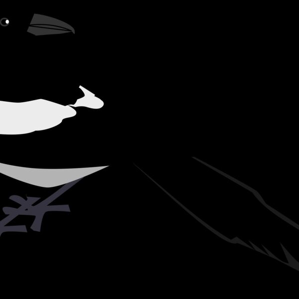 zeimusu Magpie 2 Thumbnail